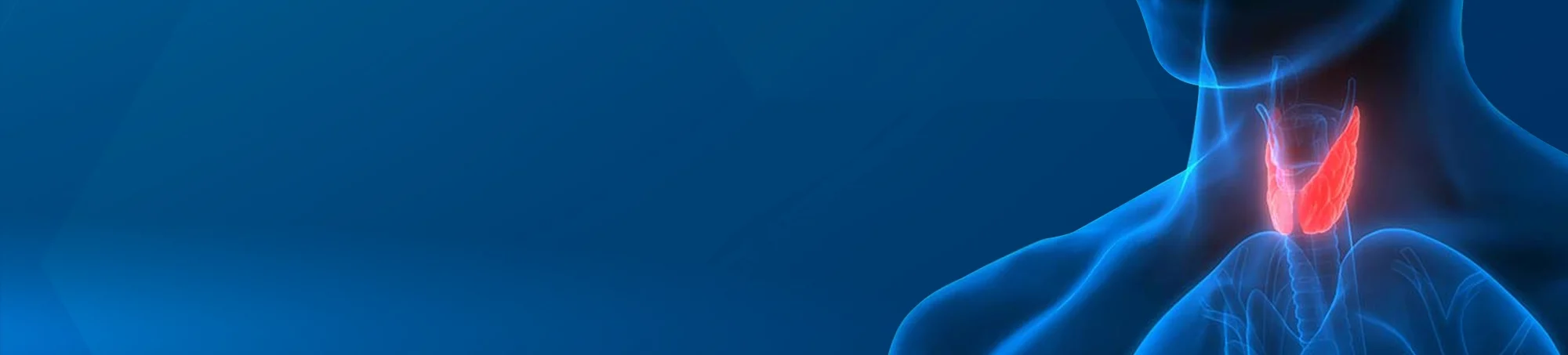 banner img