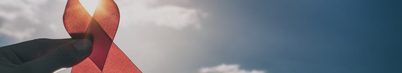 banner img
